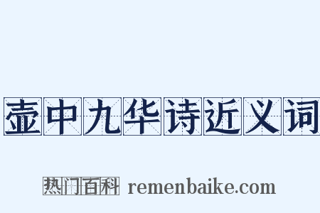 壶中九华诗近义词是什么意思的图片